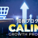 Представляем программу CALINA: Память и твердые обещания